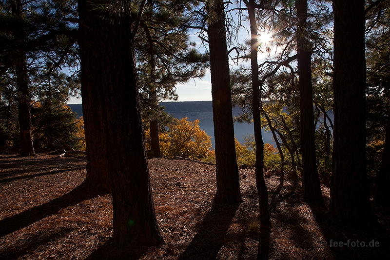 Sunrise am Grand Canyon